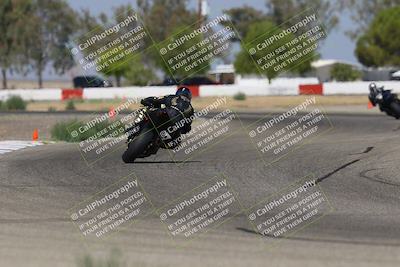 media/Sep-07-2025-Pacific Track Time (Sun) [[a6322260b9]]/A and B Group/Wheelie Bump A and B/